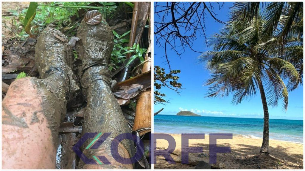 Ultra Trace de Guadeloupe