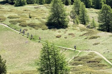 Queyras Trail Camp 2026
